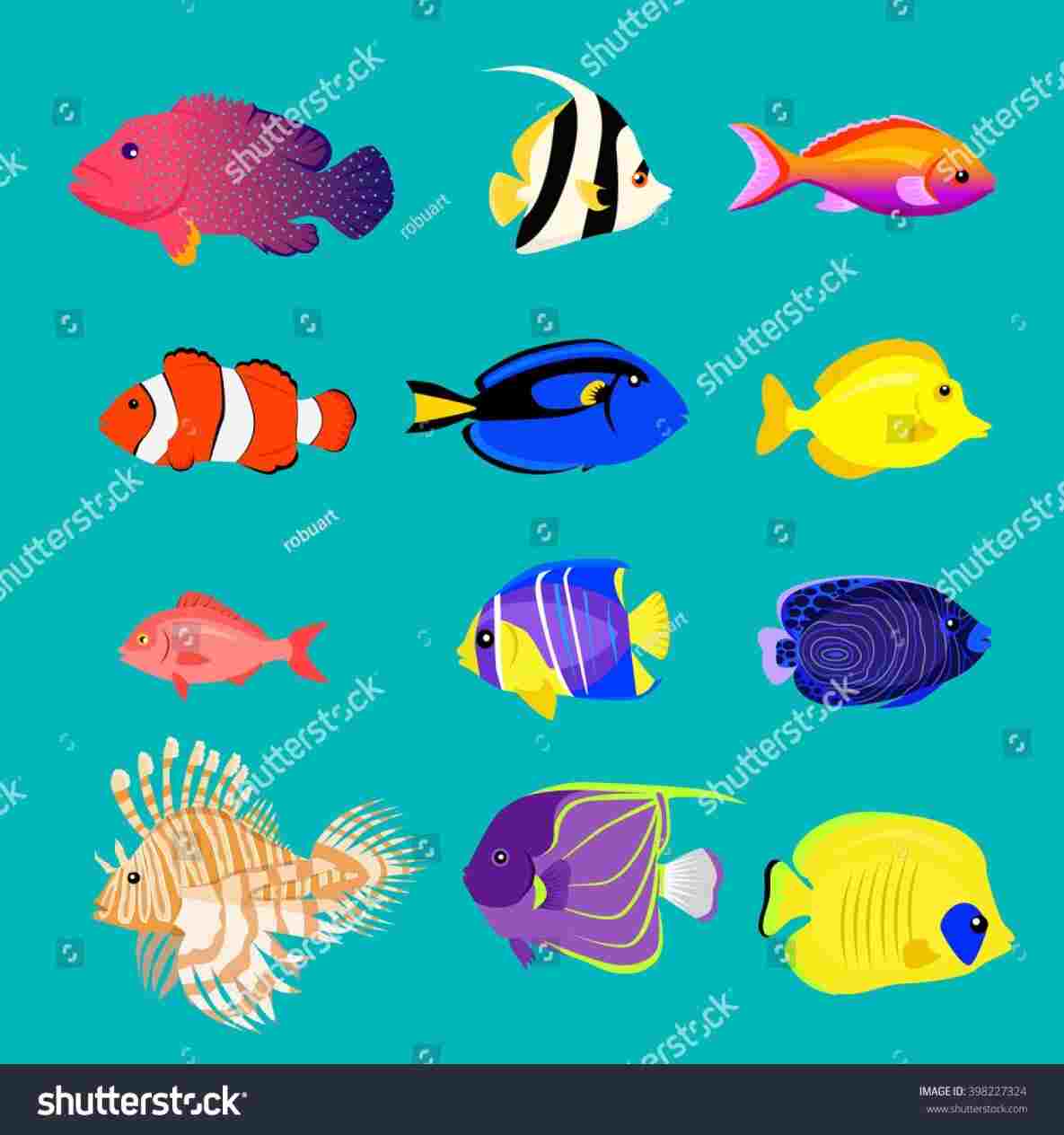 1185x1264 ink on behancerhbehancenet a ocean life drawing to z ocean life - Ocean Life Drawing