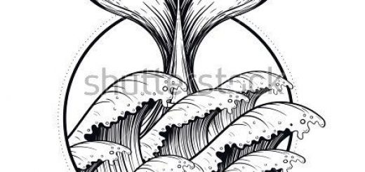 520x245 Sea Art Drawing - Ocean Line Drawing