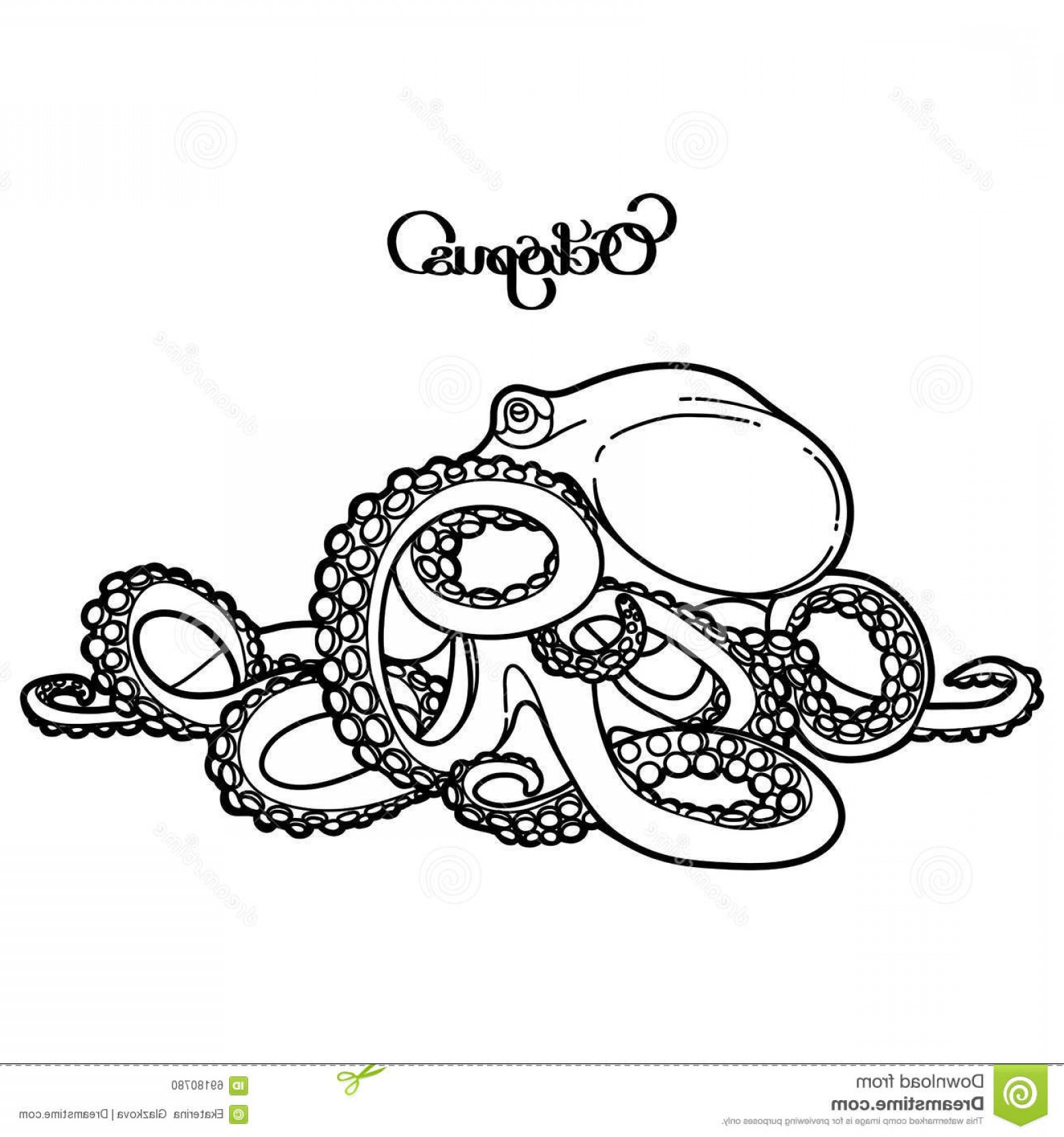 1560x1668 Stock Illustration Graphic Vector Octopus Drawn Line Art Style - Ocean Line Drawing