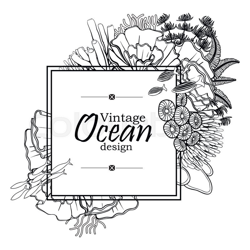 800x800 vintage graphic card with ocean flora stock vector colourbox - Ocean Line Drawing