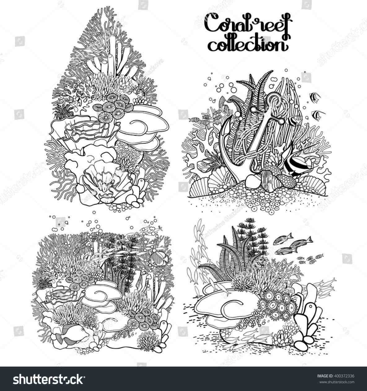 ocean plants drawing at paintingvalleycom explore collection of