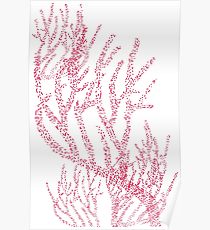 210x230 corals sea depth color colorful underwater ocean plants flora - Ocean Plants Drawing