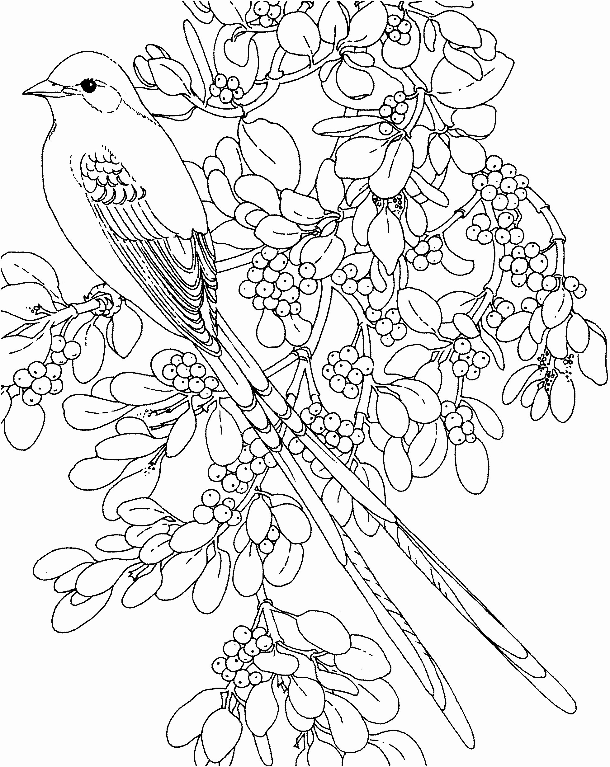 1959x2464 Ocean Plants Coloring Pages - Ocean Plants Drawing