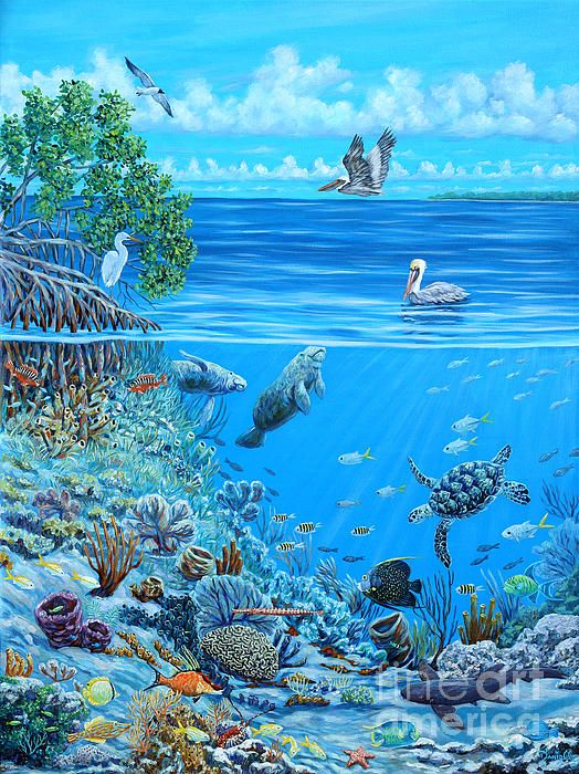 524x700 Artist Danielle Perry Underwater Reef Scene Ocean - Ocean Scene Drawing