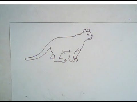 480x360 How To Draw An Ocelot - Ocelot Drawing