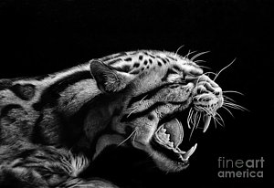 300x206 Ocelot Drawings Fine Art America - Ocelot Drawing