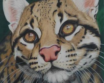 340x270 Ocelot Drawing Etsy - Ocelot Drawing