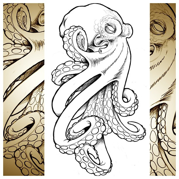 612x612 Octopus And Anchor Tattoo Sketch - Octopus And Anchor Drawing