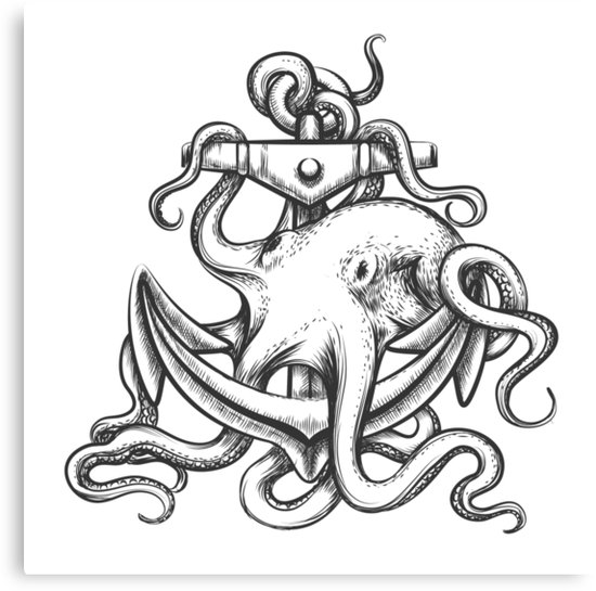 550x545 Octopus And Anchor Canvas Prints - Octopus And Anchor Drawing