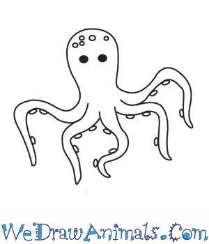 300x350 How To Draw An Octopus - Octopus Cartoon Drawing