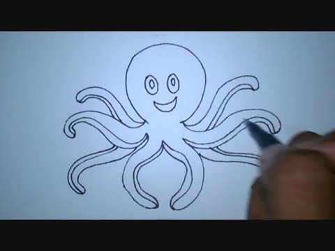 480x360 How To Draw An Octopus - Octopus Cartoon Drawing