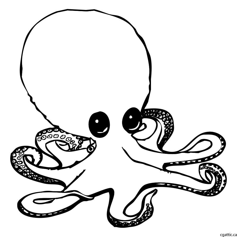 1000x1000 Octopus Cartoon Drawing In Steps With Photoshop - Octopus Cartoon Drawing