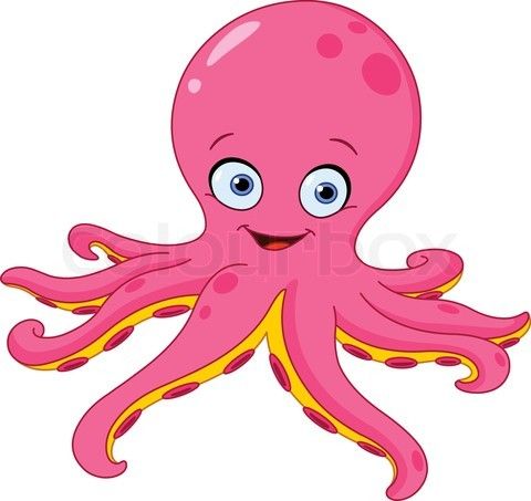 480x453 Picture Of Cartoon Octopus Gallery Images - Octopus Cartoon Drawing