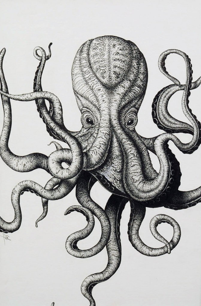 671x1024 Octopus Drawing Realistic For Free Download - Octopus Drawing