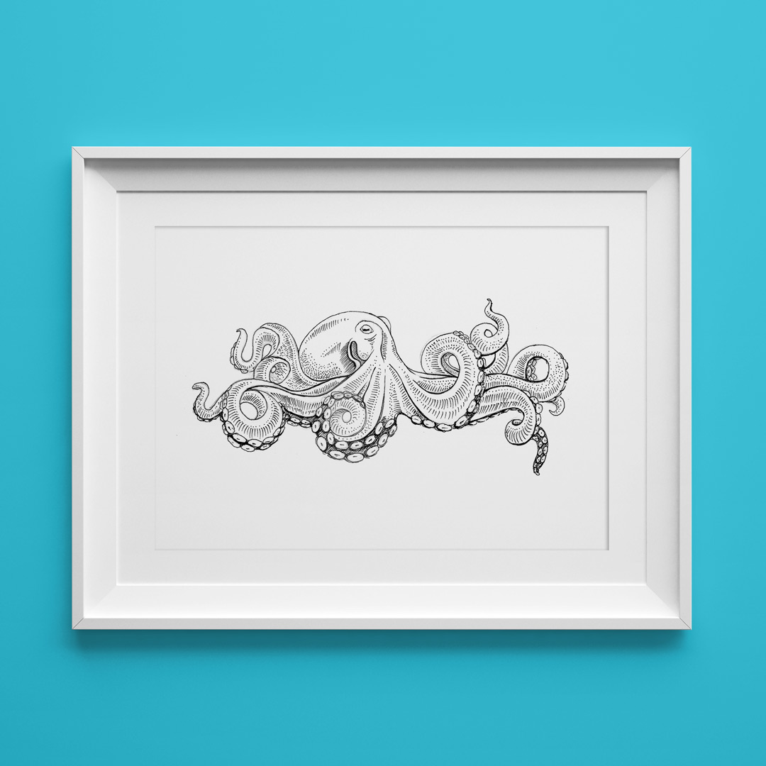 1080x1080 Octopus Drawing - Octopus Drawing