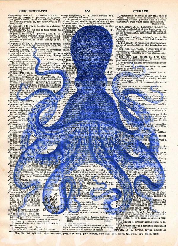 600x828 octopus wall art, vintage octopus drawing, dictionary print, book - Octopus Drawing