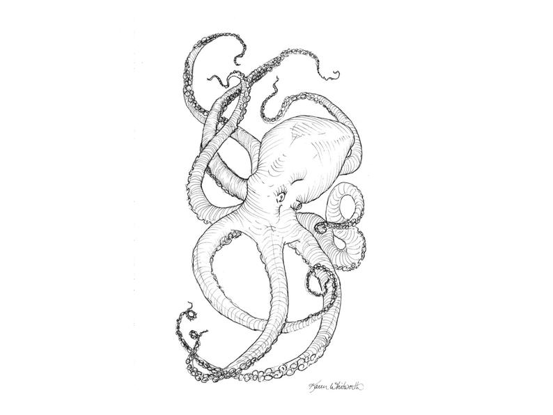 794x596 beach decor nautical octopus drawing underwater ocean wall etsy - Octopus Drawing
