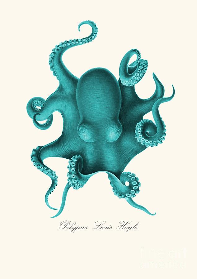 636x900 Blue Octopus Drawing - Octopus Drawing