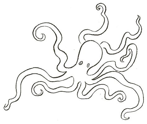 474x402 How To Draw Octopus Drawing Tutorials Drawing How To Draw - Octopus Drawing Easy