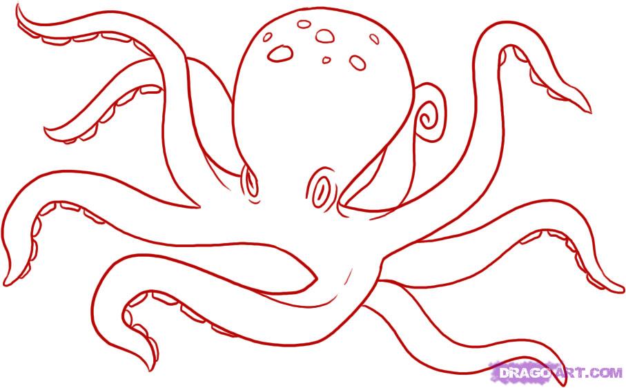 907x562 How To Draw An Octopus, Step - Octopus Drawing Easy