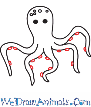 300x350 How To Draw An Octopus - Octopus Drawing Easy