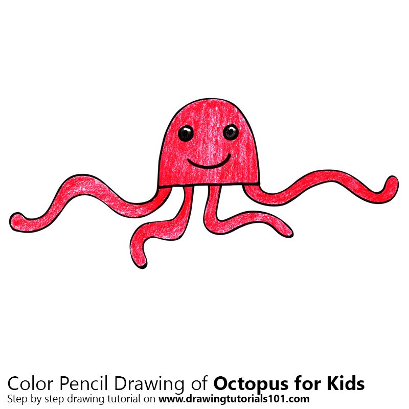 800x800 Learn How To Draw An Octopus For Kids - Octopus Drawing Easy