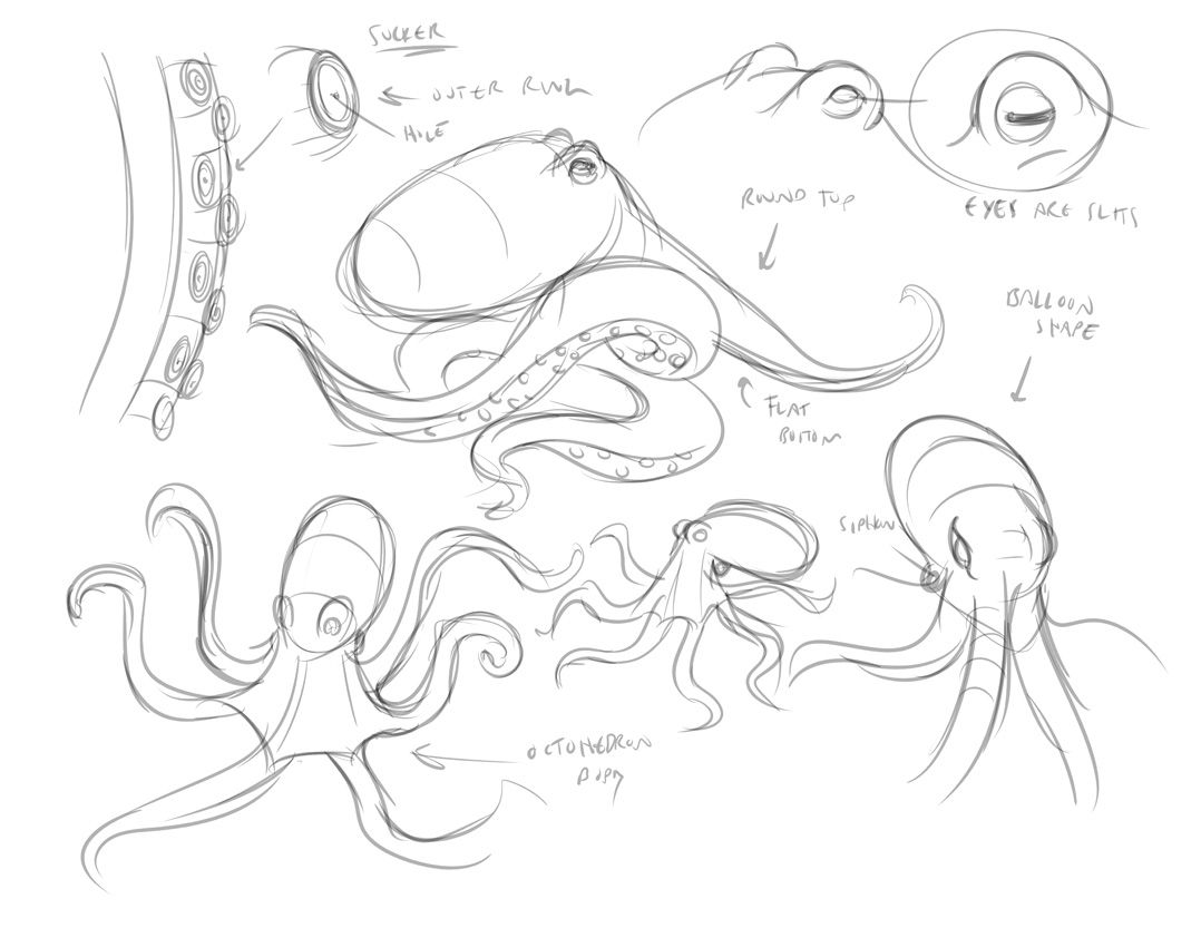 1078x833 Octopus Drawing Tutorial - Octopus Drawing Easy