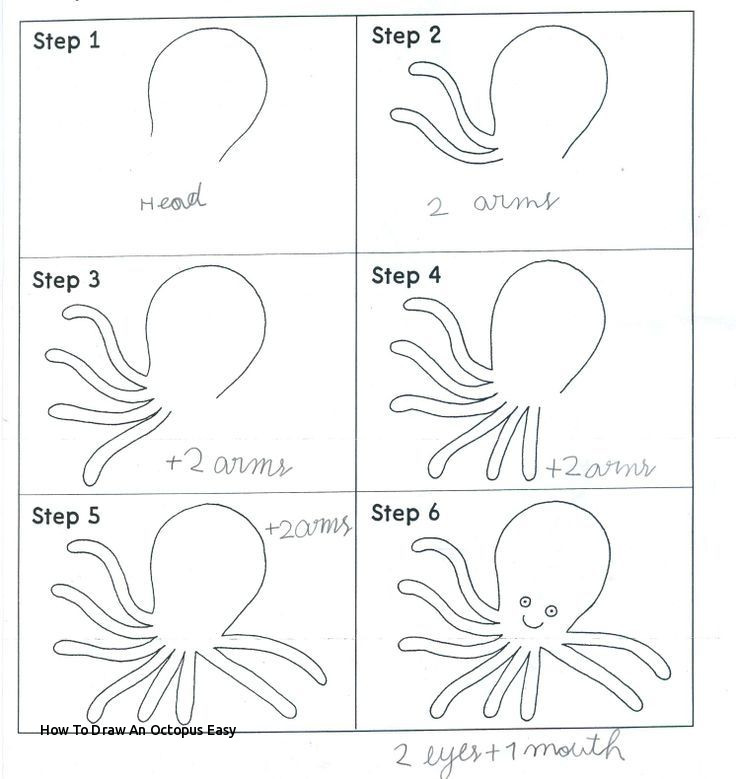 736x779 How To Draw An Octopus Easy Best Guided Drawing Kindergarten - Octopus Drawing Easy