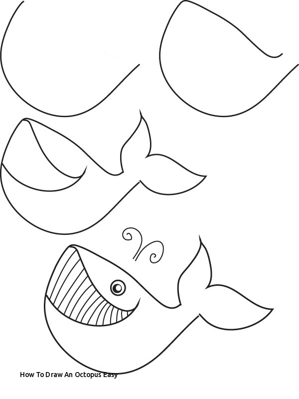 600x800 How To Draw An Octopus Easy Sea Animals Drawing - Octopus Drawing Easy