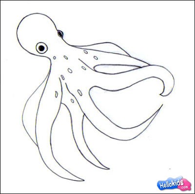 400x398 Free Coloring Pages How To Draw An Octopus For Kids How To Draw - Octopus Drawing For Kids