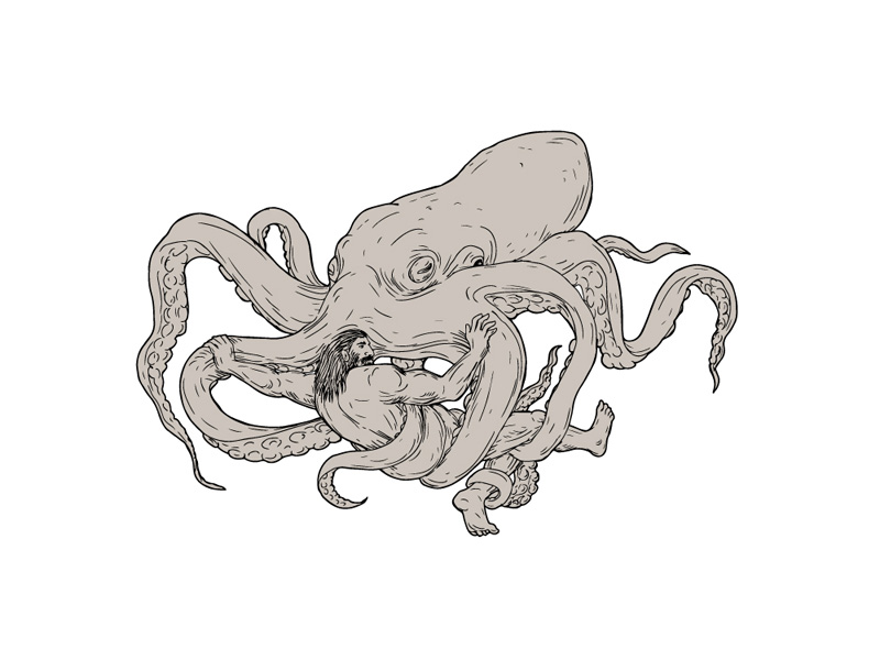 800x600 Hercules Fighting Giant Octopus Drawing - Octopus Drawing Images