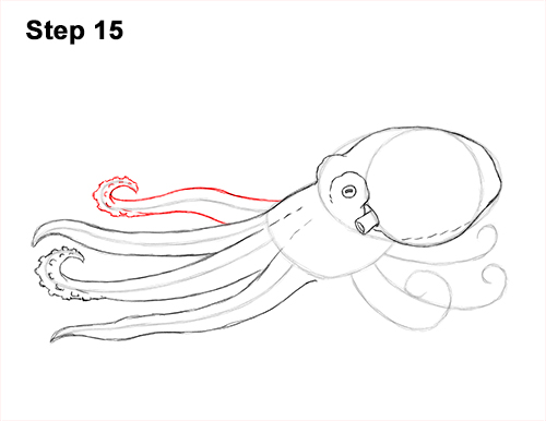 500x386 How To Draw An Octopus - Octopus Drawing Images