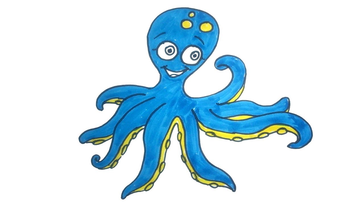 1280x720 octopus drawing how to draw a baby octopus easy step - Octopus Drawing Images