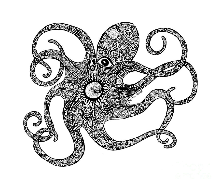 900x762 Octopus Drawing - Octopus Drawing Images
