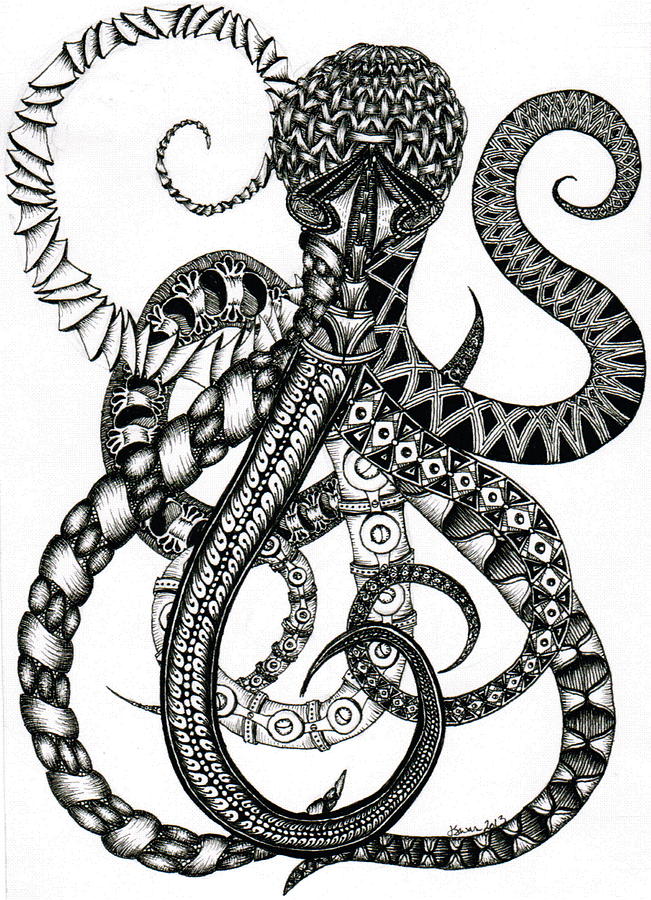 651x900 Octopus Drawing - Octopus Drawing Images