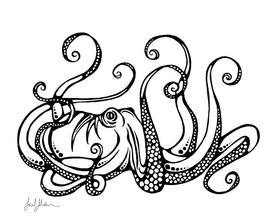 900x720 Octopus Drawing - Octopus Drawing Images
