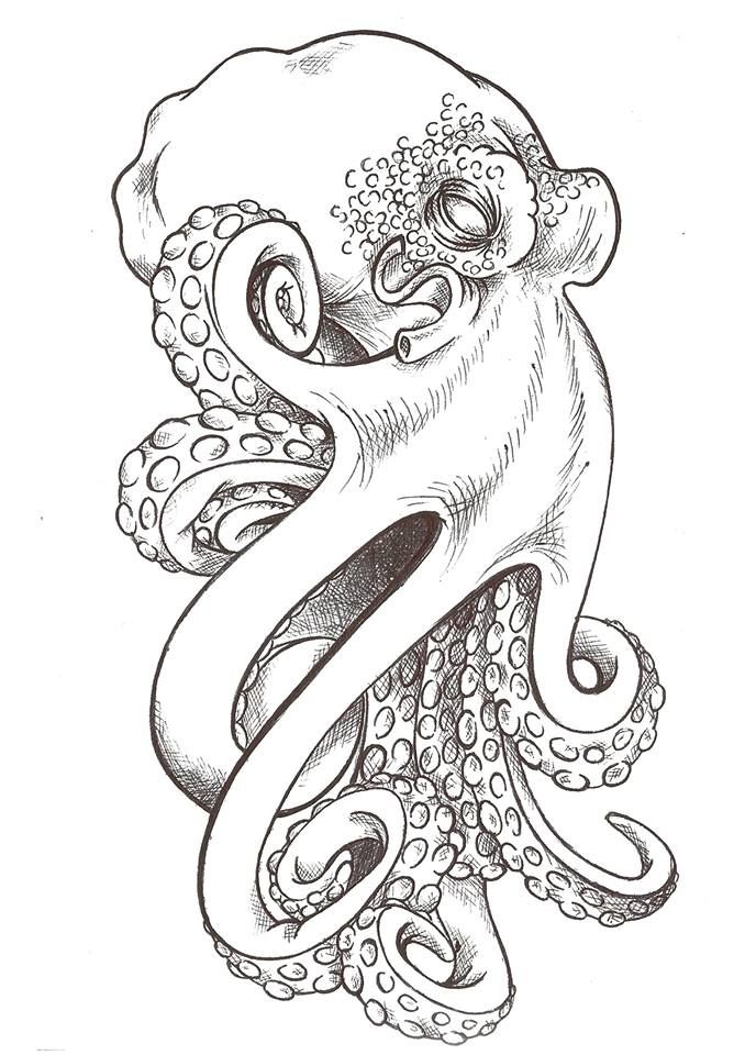 678x960 Tat Flash - Octopus Drawing Images