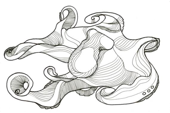 570x380 octopus drawing deepling octopus fine art giclee print of etsy - Octopus Drawing Pictures