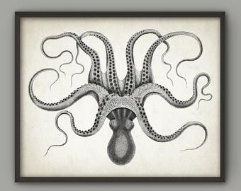 340x270 Octopus Drawing Etsy - Octopus Drawing Pictures