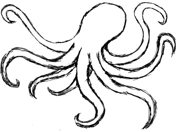 602x452 Octopus Drawing - Octopus Drawing Pictures
