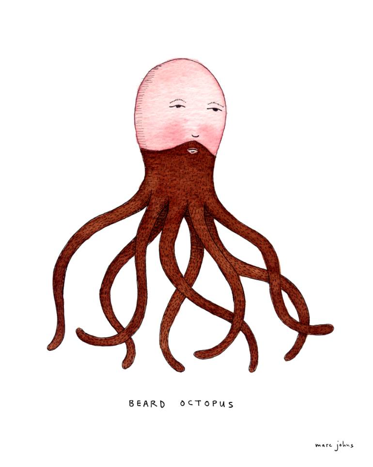770x963 beard octopus drawing - Octopus Drawing Pictures