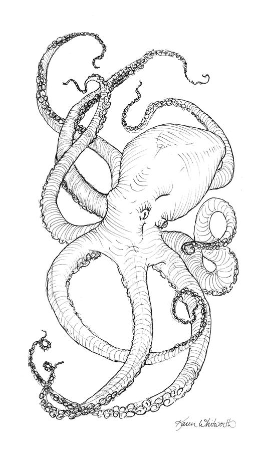 521x900 come let me give you a hug octopus drawing drawing - Octopus Drawing Pictures
