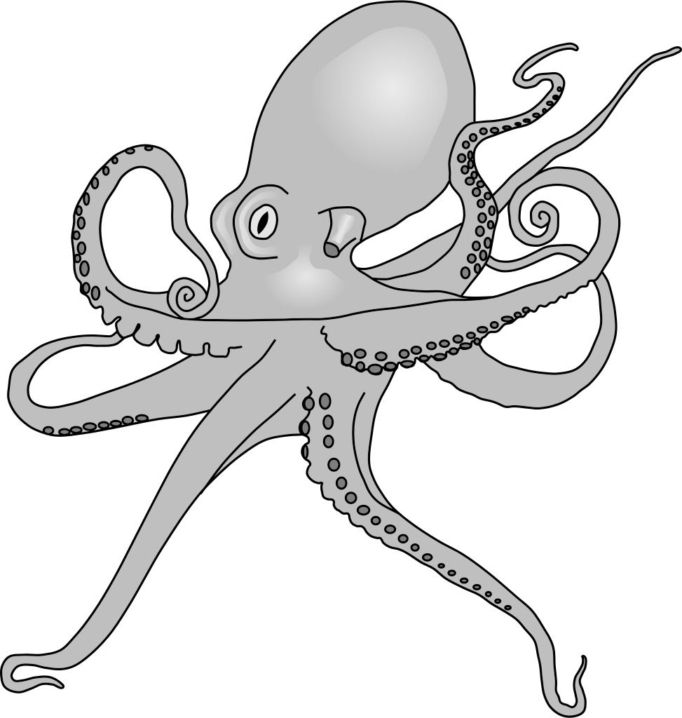 973x1024 Fileoctopus Drawing - Octopus Drawing Pictures