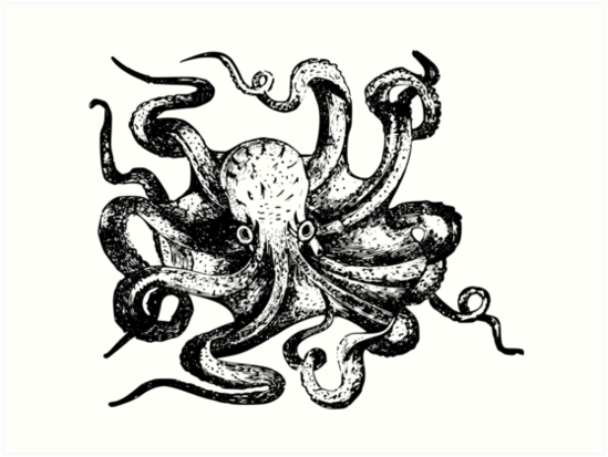 549x413 gorgeous bw vintage octopus drawing art prints - Octopus Drawing Pictures