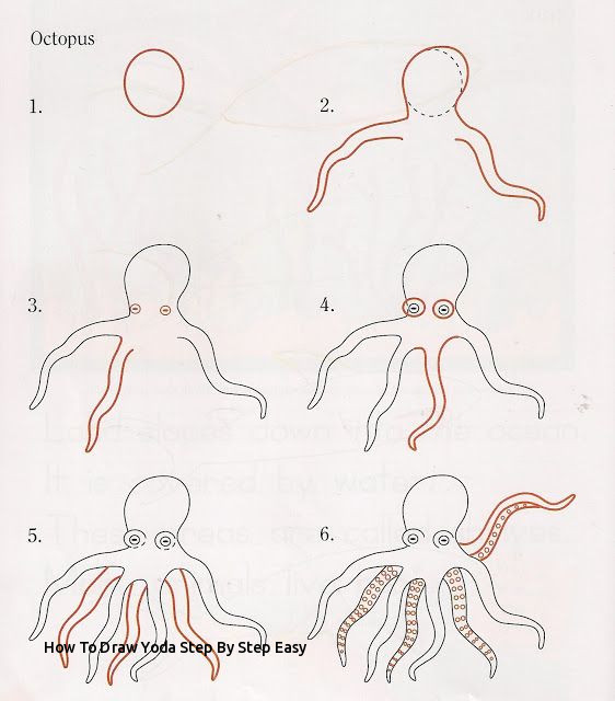562x640 How To Draw Yoda Step - Octopus Drawing Step By Step