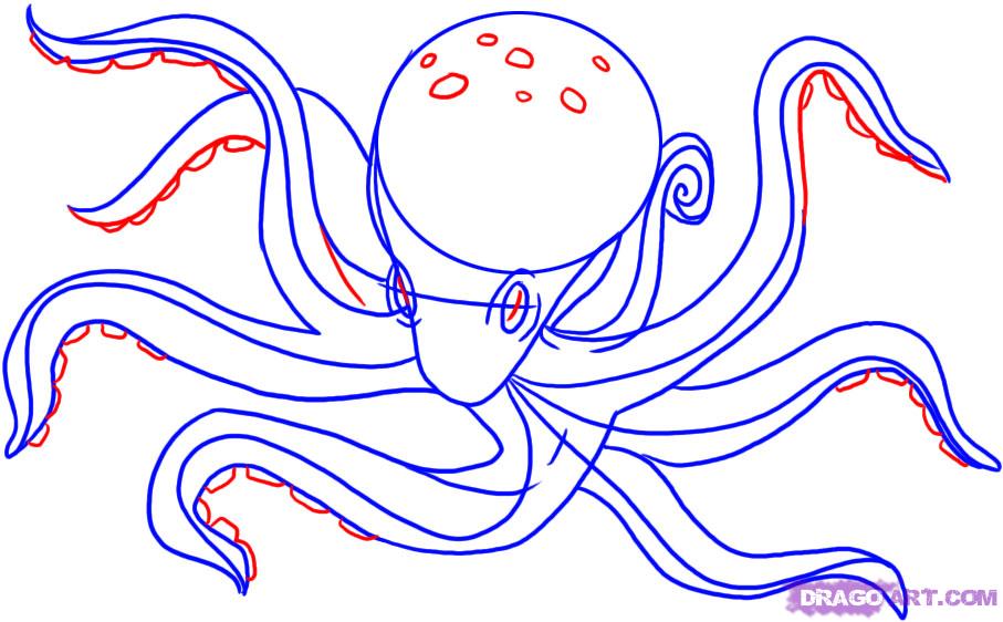 907x562 How To Draw An Octopus, Step - Octopus Drawing Step By Step