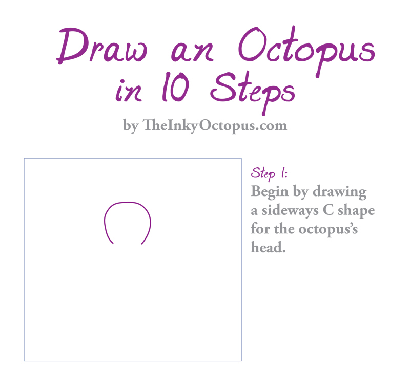 800x723 How To Draw An Octopus In Steps - Octopus Drawing Step By Step