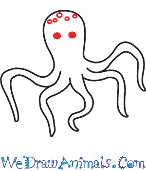 300x350 How To Draw An Octopus - Octopus Drawing Step By Step