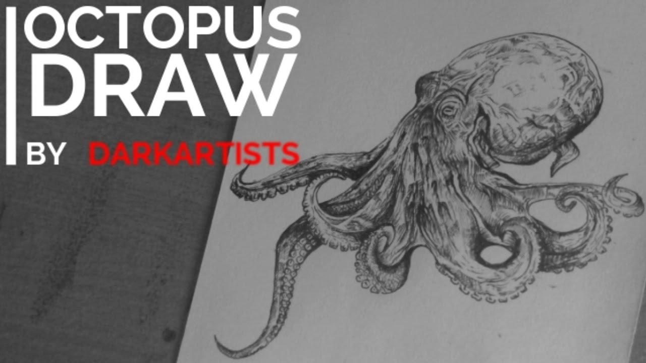 1280x720 Octopus Drawingamazing Pen And Ink Speed Draw Darkartists - Octopus Ink Drawing