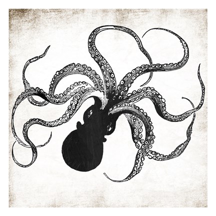 432x432 Octopus Ink Fine Art Print - Octopus Ink Drawing
